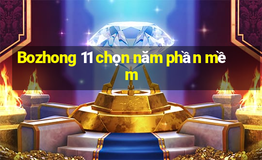 Bozhong 11 chọn năm phần mềm