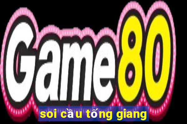 soi cầu tống giang