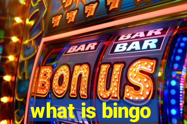 what is bingo