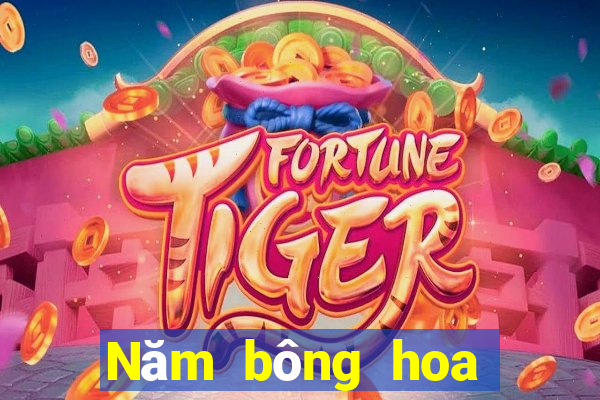 Năm bông hoa vàng ở Thành Đô