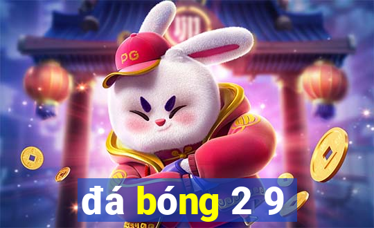 đá bóng 2 9