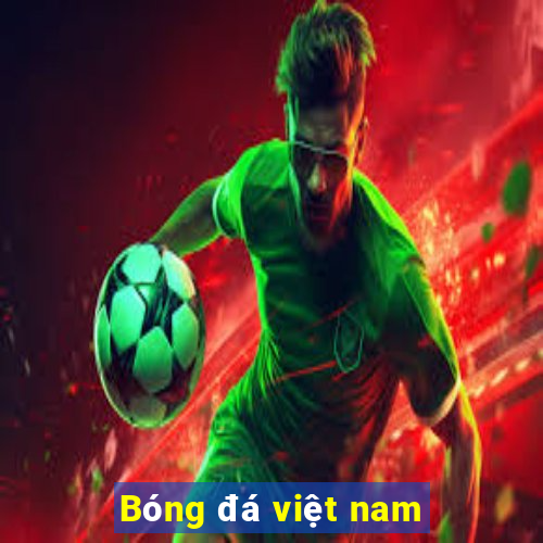 Bóng đá việt nam