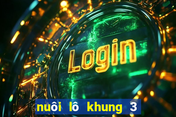 nuôi lô khung 3 ngày chuẩn