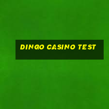 dingo casino test