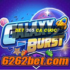 bet 365 ca cuoc