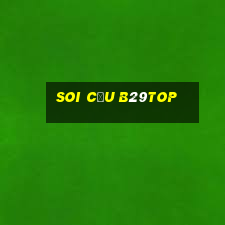 Soi Cầu B29top