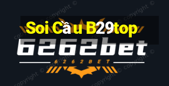 Soi Cầu B29top