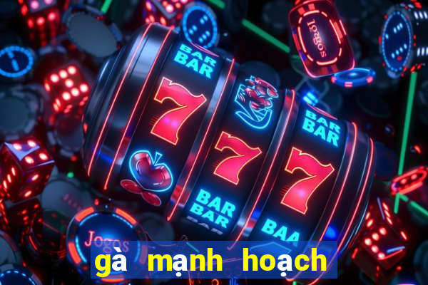 gà mạnh hoạch gần đây