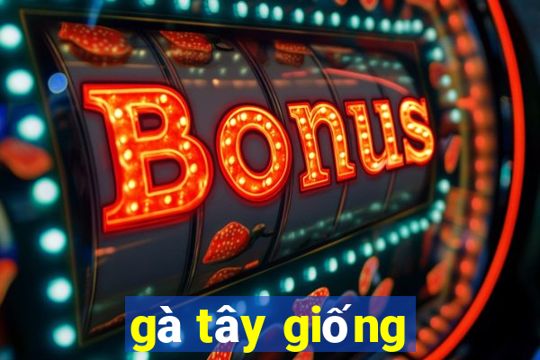 gà tây giống