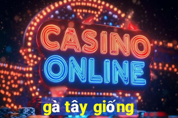 gà tây giống