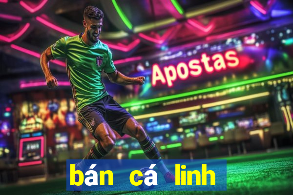 bán cá linh tươi tphcm