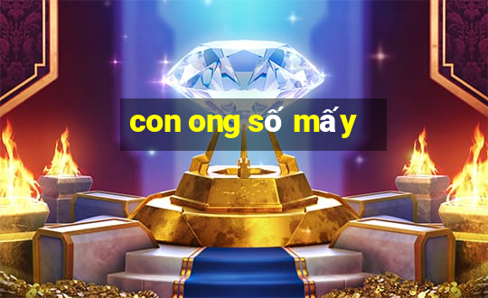 con ong số mấy