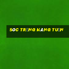 sóc trăng hàng tuần