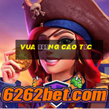 Vua Đường Cao Tốc