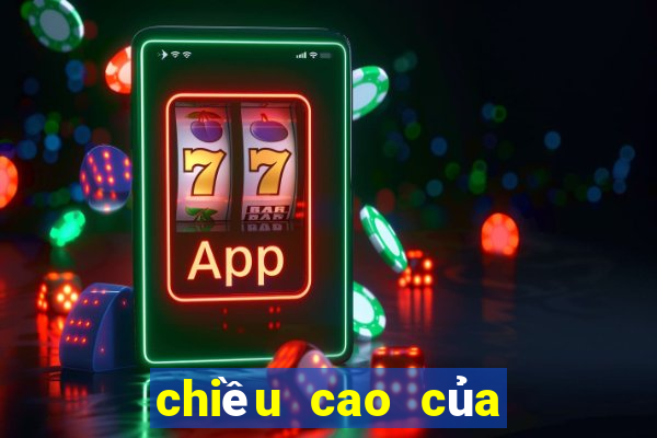 chiều cao của bàn ngồi bệt