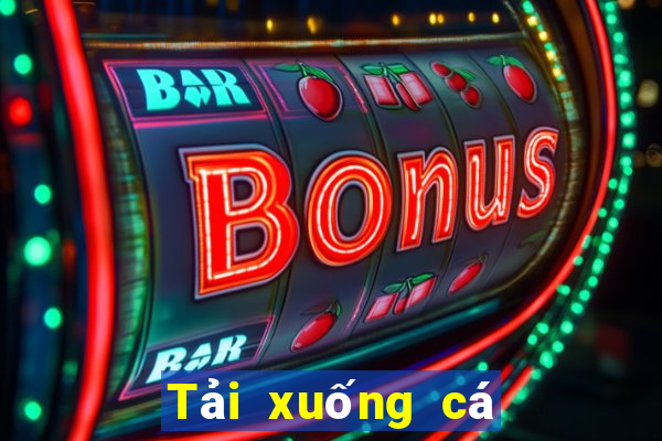 Tải xuống cá cược bóng rổ