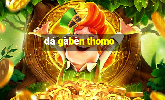 đá gà bên thomo