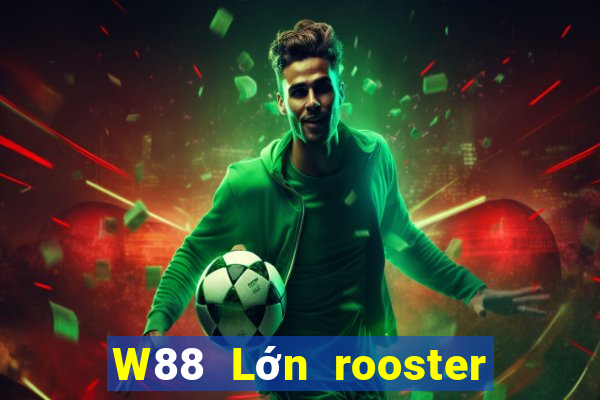 W88 Lớn rooster sắp xếp