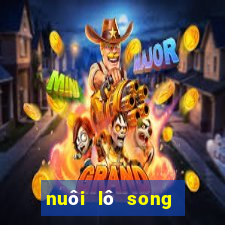 nuôi lô song thủ khung 2ngay