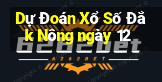 Dự Đoán Xổ Số Đắk Nông ngày 12