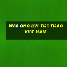 W88 Ông lớn Thể thao Việt nam