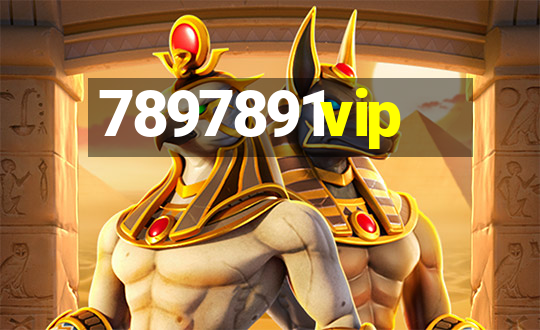 7897891vip