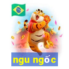 ngu ngốc