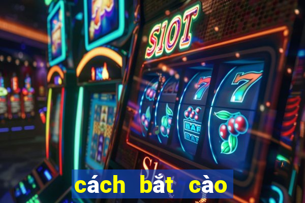 cách bắt cào cào dễ nhất