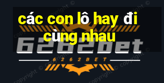 các con lô hay đi cùng nhau