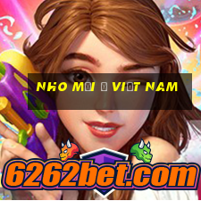 Nho mới ở Việt nam