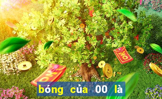 bóng của 00 là số mấy