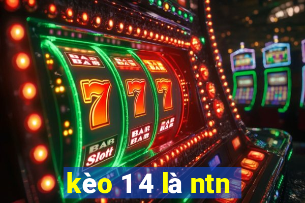 kèo 1 4 là ntn