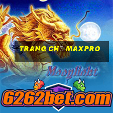 Trang Chủ Maxpro