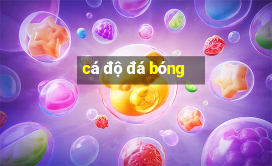 cá độ đá bóng