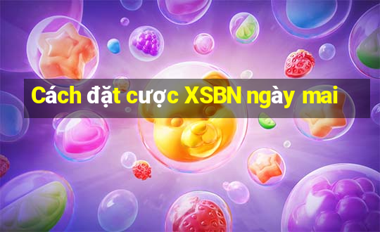 Cách đặt cược XSBN ngày mai