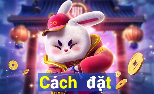 Cách đặt cược XSHP ngày 6