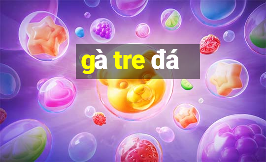 gà tre đá