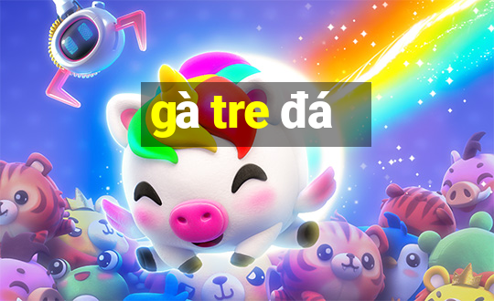 gà tre đá