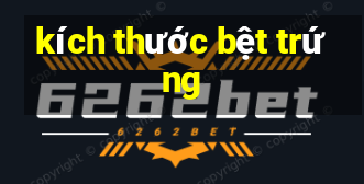 kích thước bệt trứng