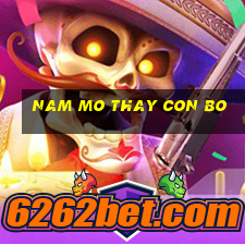 nam mo thay con bo