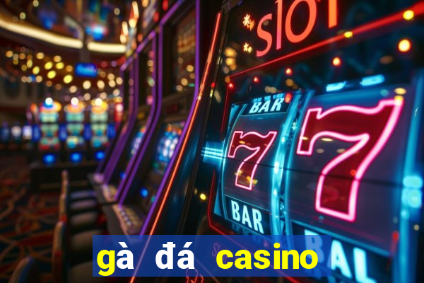 gà đá casino trực tiếp