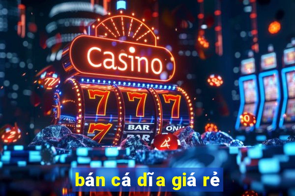 bán cá dĩa giá rẻ