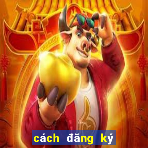 cách đăng ký 3g cho vina