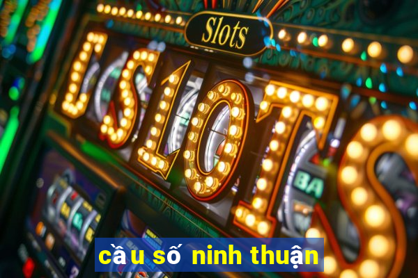 cầu số ninh thuận