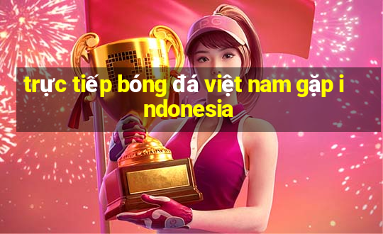 trực tiếp bóng đá việt nam gặp indonesia