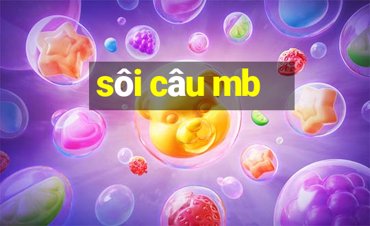 soi cau mb