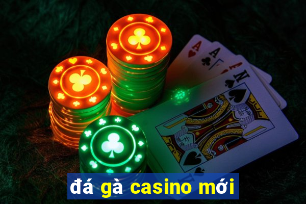 đá gà casino mới