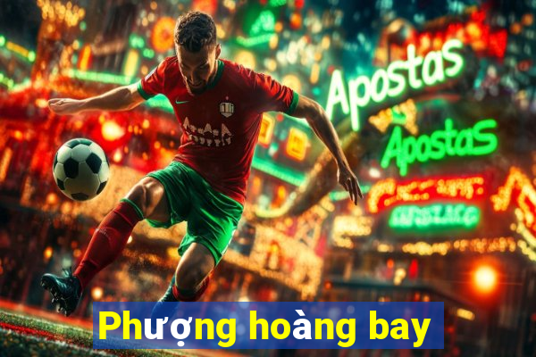 Phượng hoàng bay