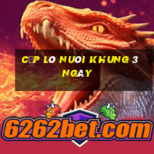 cặp lô nuôi khung 3 ngày