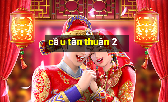 cầu tân thuận 2